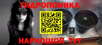 ешки Новодвинск