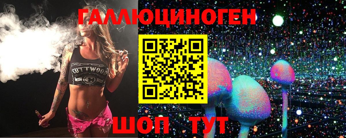 Торжок  Псилоцибиновые грибы Psilocybe  Псилоцибиновые грибы Magic Shrooms  Вход с VPN 